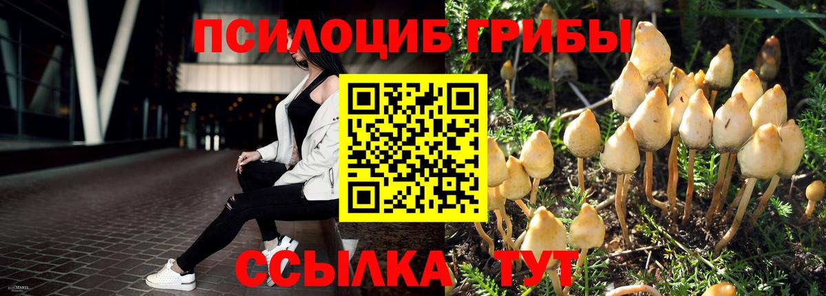 Клинцы  Псилоцибиновые грибы Psilocybe  Вход с VPN  Псилоцибиновые грибы мицелий 